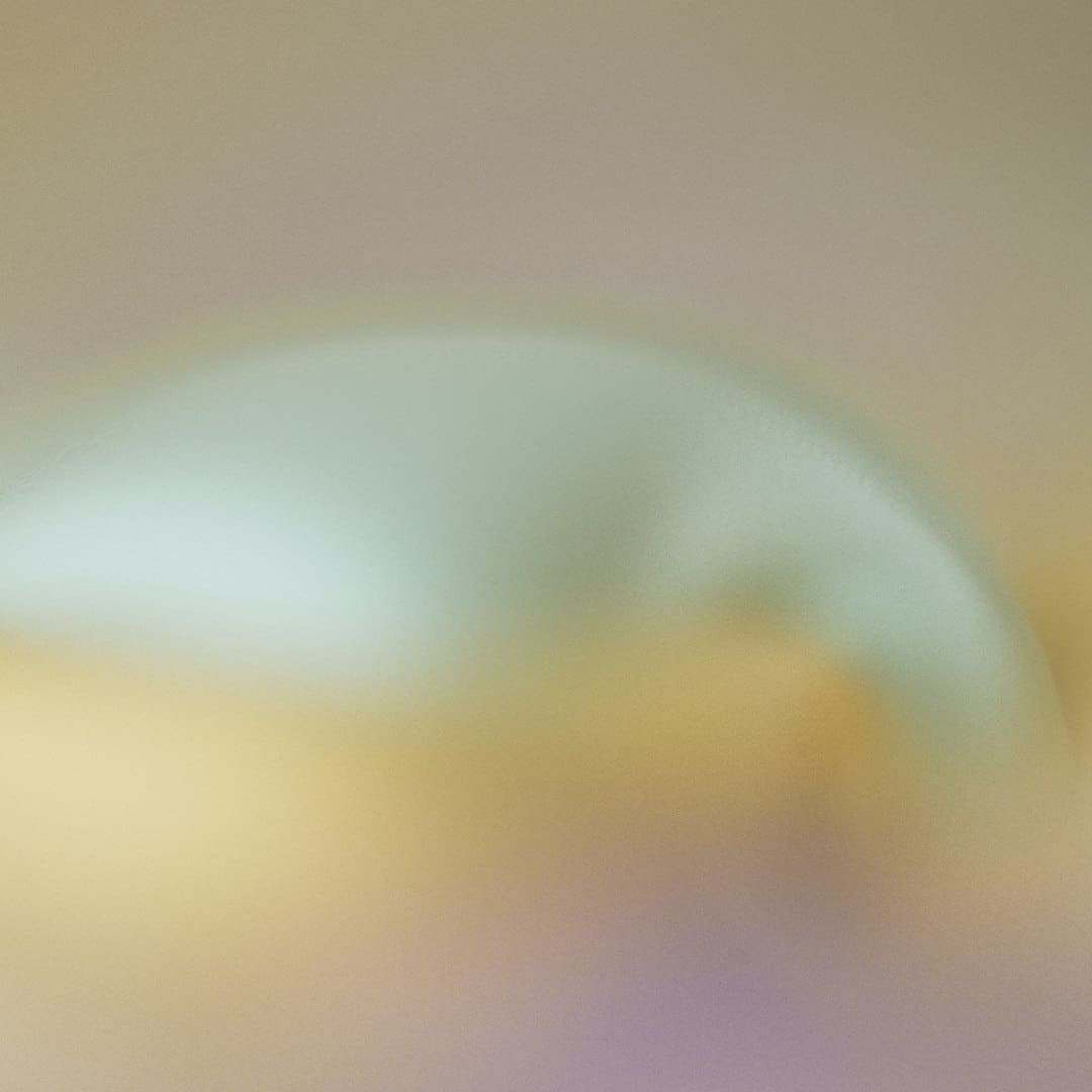 《献鱼》神交讲了什么 神交是双休吗?